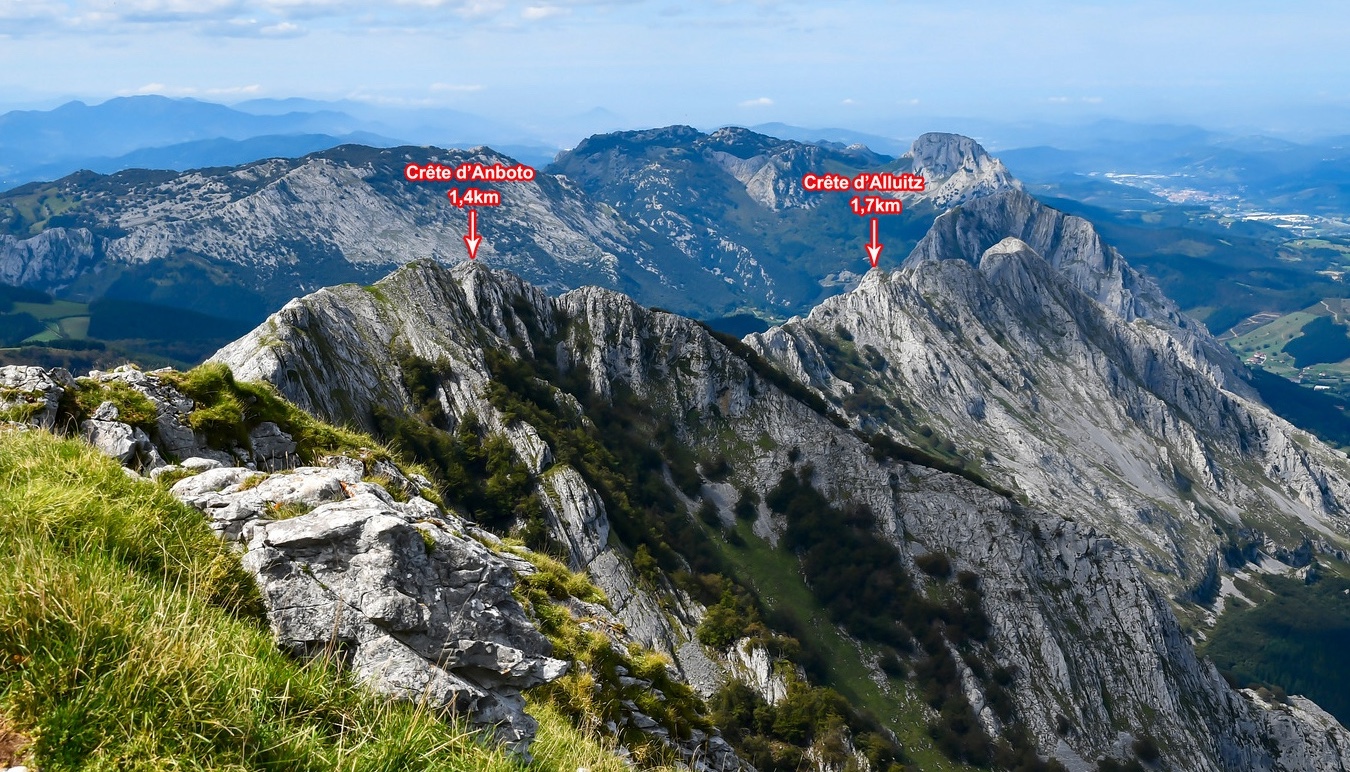 image_1