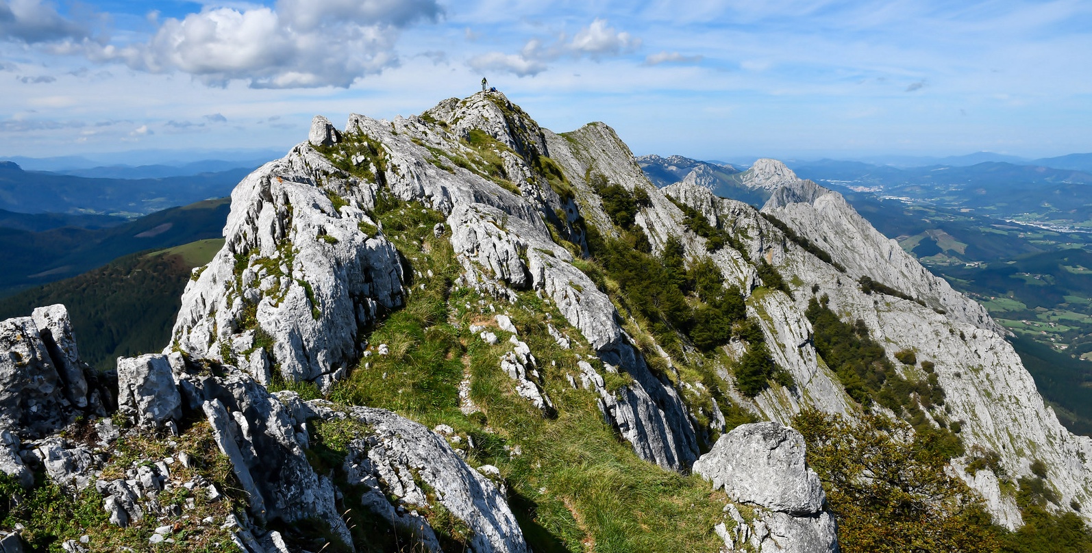image_6