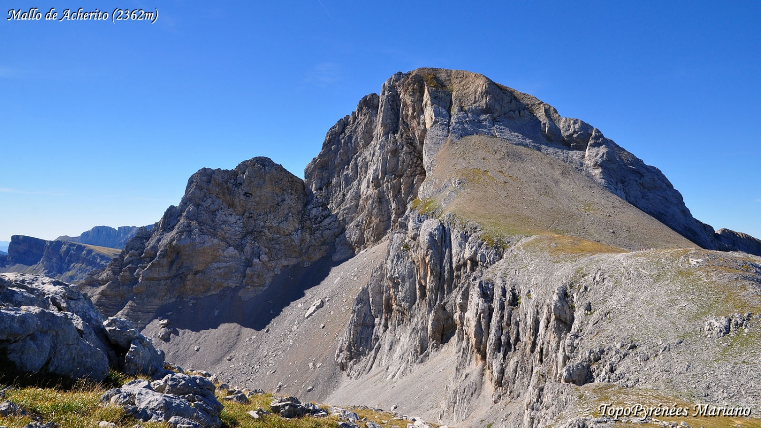 image_1