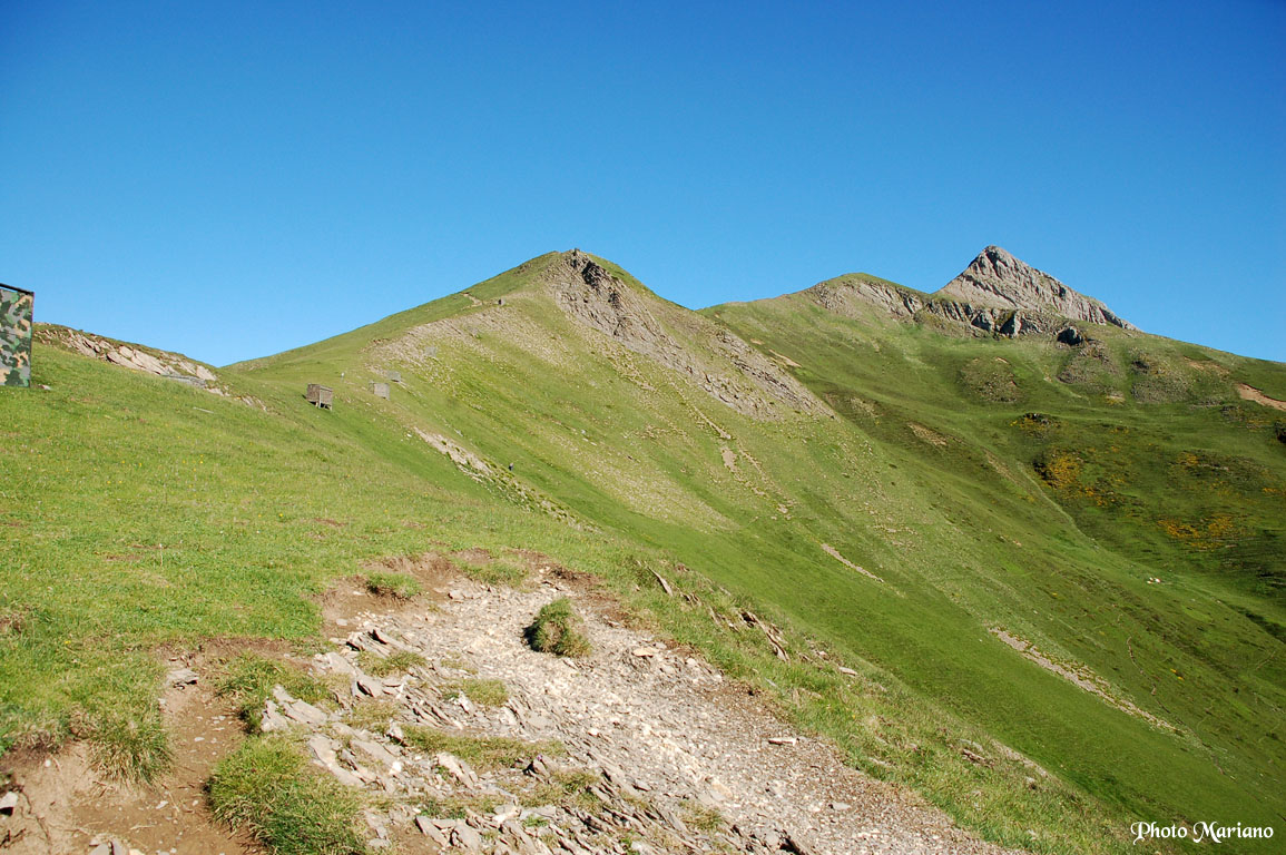 image_1