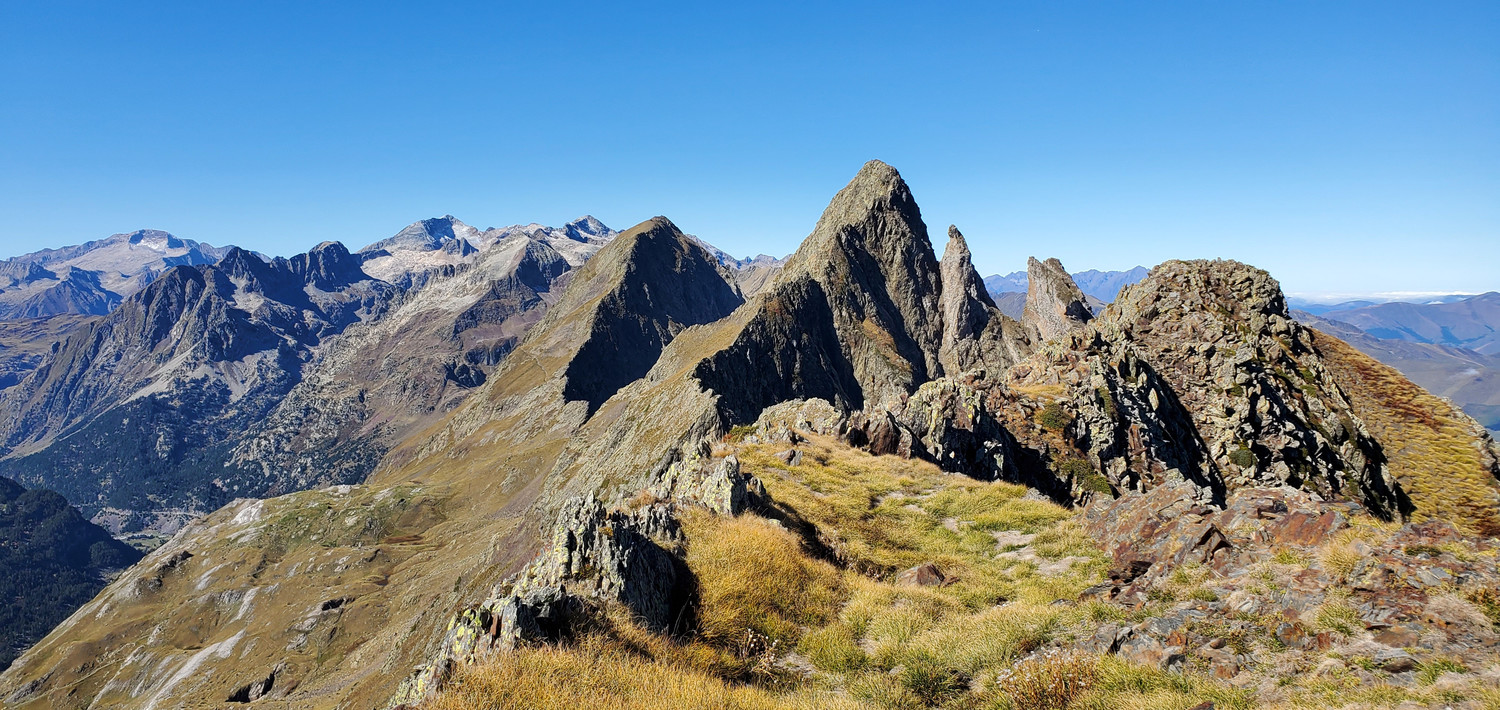 image_1