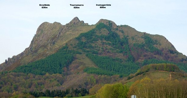 image_3